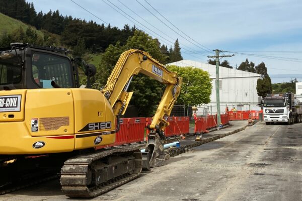 pro_civil_construction_dunedin_city_council0