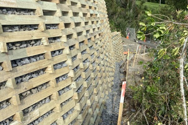 17_pro_civil_challis_point_subdivison