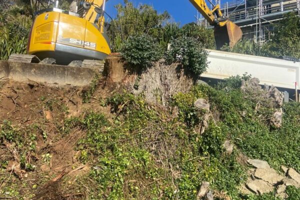 3_pro_civil_challis_point_subdivison