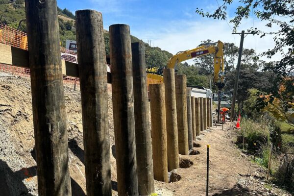 5_pro_civil_challis_point_subdivison