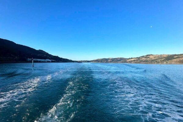 pro_civil_subdivision_developments_infrastructure_pipelaying_new_zealand-kaikorai-valley-road-tiakina_harbour_unwind-5